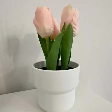 Il Melograno Sul Naviglio Apartamento